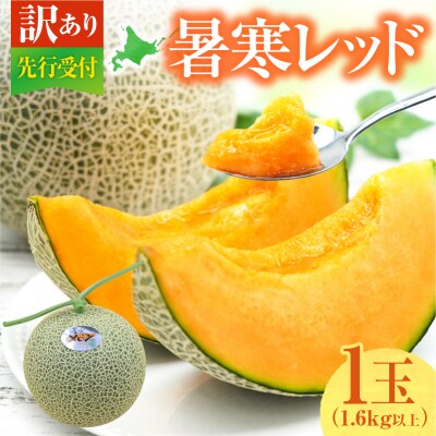 【令和8年産先行受付】【訳あり】 北海道メロン 暑寒レッド 1玉 (1.6kg以上×1箱)フルーツ