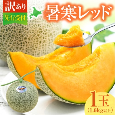 【令和8年産先行受付】【訳あり】 北海道メロン 暑寒レッド 1玉 (1.6kg以上×1箱)フルーツ