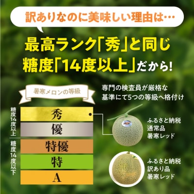先行受付2025年 訳あり 北海道メロン 暑寒レッド 1玉 (1.6kg以上×1箱)フルーツ