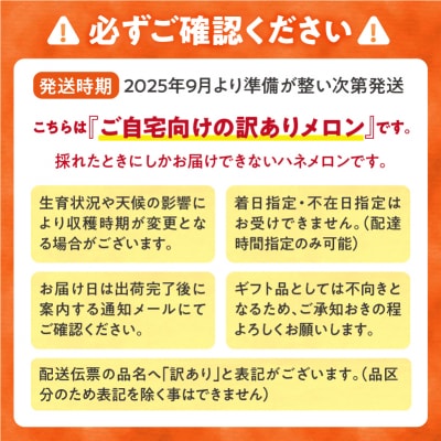 先行受付2025年 訳あり 北海道メロン 暑寒レッド 1玉 (1.6kg以上×1箱)フルーツ