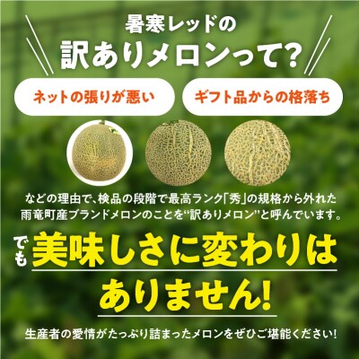 【令和8年産先行受付】【訳あり】 北海道メロン 暑寒レッド 2玉 (3.2kg以上×1箱)フルーツ