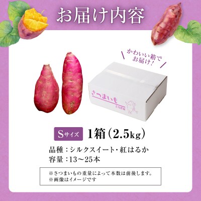 【数量限定】北海道雨竜町産 さつまいも 食べ比べセット「シルクスイート・紅はるか」 Sサイズ 2.5