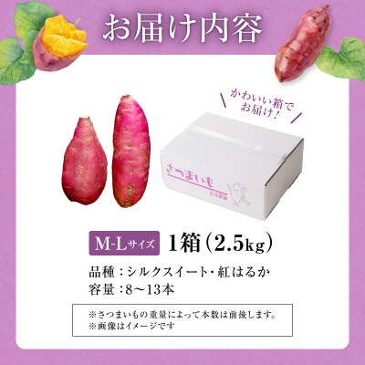 【数量限定】北海道産 さつまいも 食べ比べセット「シルクスイート・紅はるか」 M-Lサイズ2.5kg