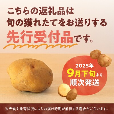 【先行受付】2026年発送 北海道産 じゃがいも「きたあかり 5kg」