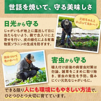【先行受付】2026年発送 北海道産 じゃがいも「きたあかり 5kg」