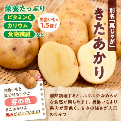 【先行受付】2026年発送 北海道産 じゃがいも「きたあかり 5kg」