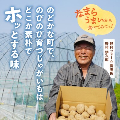【先行受付】2026年発送 北海道産 じゃがいも「きたあかり 10kg」