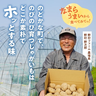 2026年発送 北海道産 じゃがいも「きたあかり 10kg」