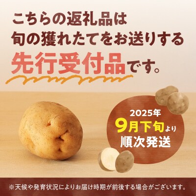 【先行受付】2026年発送 北海道産 じゃがいも「男爵 10kg」