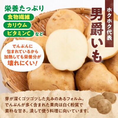 【先行受付】2026年発送 北海道産 じゃがいも「男爵 10kg」