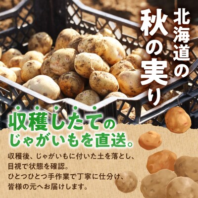 【先行受付】2026年発送 北海道産 じゃがいも「きたあかり・男爵セット 10kg」