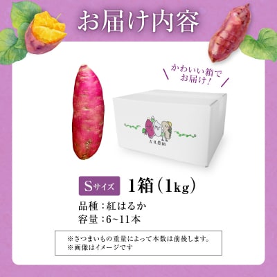 【数量限定】なまら甘い!北海道雨竜町産 さつまいも 「紅はるか」 Sサイズ 1kg