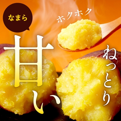 【数量限定】なまら甘い!北海道雨竜町産 さつまいも 「紅はるか」 M-Lサイズ 1kg