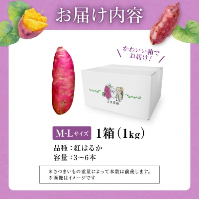 【数量限定】なまら甘い!北海道雨竜町産 さつまいも 「紅はるか」 M-Lサイズ 1kg