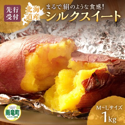 【数量限定】あま～い畑スイーツ!北海道雨竜町産 さつまいも 「シルクスイート」M-Lサイズ 1kg