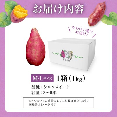 【数量限定】あま～い畑スイーツ!北海道雨竜町産 さつまいも 「シルクスイート」M-Lサイズ 1kg