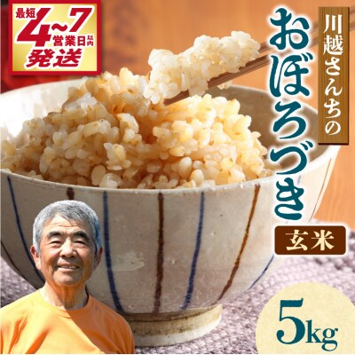 【最短4～7営業日発送】令和7年産 川越さんちの おぼろづき 玄米 5kg (5kg×1袋)