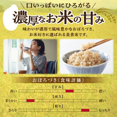 【最短4～7営業日発送】令和7年産 川越さんちの おぼろづき 玄米 5kg (5kg×1袋)