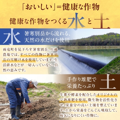 【最短4～7営業日発送】令和7年産 川越さんちの おぼろづき 玄米 5kg (5kg×1袋)