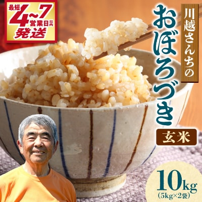 【最短4～7営業日発送】令和7年産 川越さんちの おぼろづき 玄米 10kg (5kg×2袋)