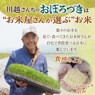 【定期便全4回】令和7年産 川越さんちの おぼろづき 玄米 5kg(5kg×1袋)毎月1回お届け