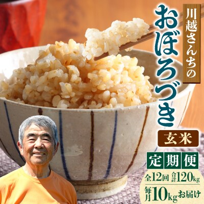 【定期便全12回】令和7年産 川越さんちの おぼろづき 玄米 10kg(5kg×2袋)毎月1回お届け