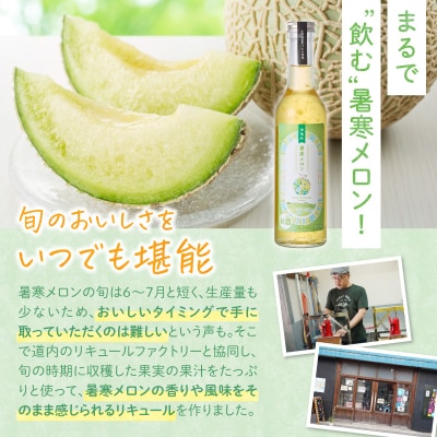 リキュール 暑寒メロンリキュール 300ml × 1本