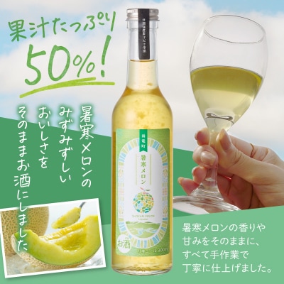 リキュール 暑寒メロンリキュール 300ml × 2本