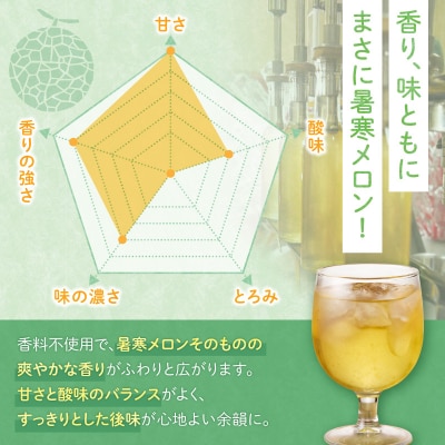 リキュール 暑寒メロンリキュール 300ml × 2本