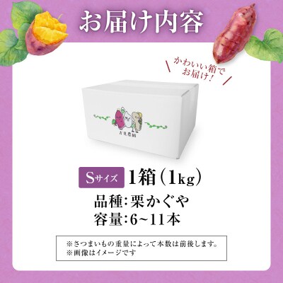 【数量限定】北海道雨竜町産 さつまいも 「栗かぐや」 Sサイズ 1kg 産地直送