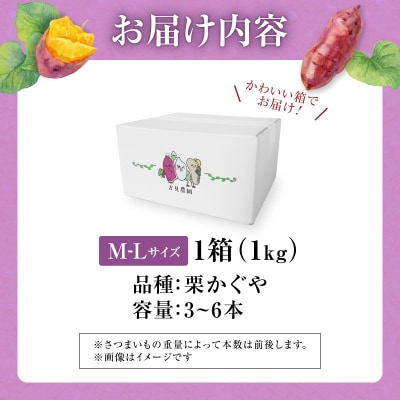 【数量限定】北海道雨竜町産 さつまいも 「栗かぐや」M-Lサイズ 1kg 産地直送