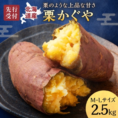 【数量限定】北海道雨竜町産 さつまいも 「栗かぐや」M-Lサイズ 2.5kg 産地直送