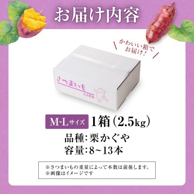 【数量限定】北海道雨竜町産 さつまいも 「栗かぐや」M-Lサイズ 2.5kg 産地直送