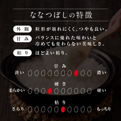 【新米予約】令和8年産 雨竜産 ななつぼし 精米 10kg(5kg×2袋)【定期便全9回】