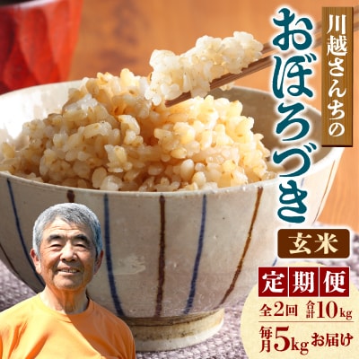 【定期便全2回】令和7年産 川越さんちの おぼろづき 玄米 5kg (5kg×1袋)毎月1回お届け
