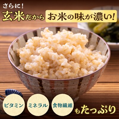 【定期便全2回】令和7年産 川越さんちの おぼろづき 玄米 10kg(5kg×2袋)毎月1回お届け