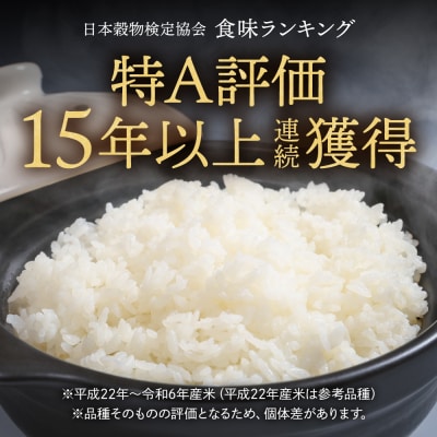 令和7年産 金王冠 精米 雨竜町 ななつぼし 5kg 北海道 おにぎり 特A お弁当