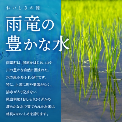 令和7年産 金王冠 精米 雨竜町 ななつぼし 5kg 北海道 おにぎり 特A お弁当