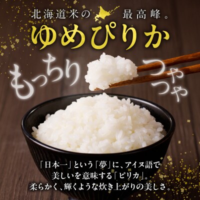 【新米予約】 令和8年産【定期便全11回】うりゅう米 ゆめぴりか 無洗米 10kg(5kg×2袋)