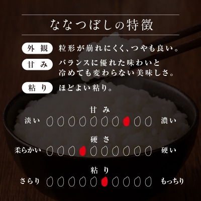 【新米予約】 令和8年産【定期便全11回】うりゅう米 ななつぼし 5kg(5kg×1袋)