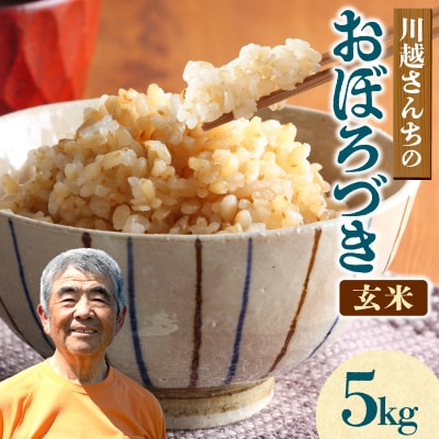 新米 令和8年産 10月下旬より発送 川越さんちの おぼろづき 玄米 5kg×1袋