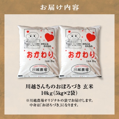 新米 令和8年産 10月下旬より発送 川越さんちの おぼろづき 玄米 10kg (5kg×2袋)