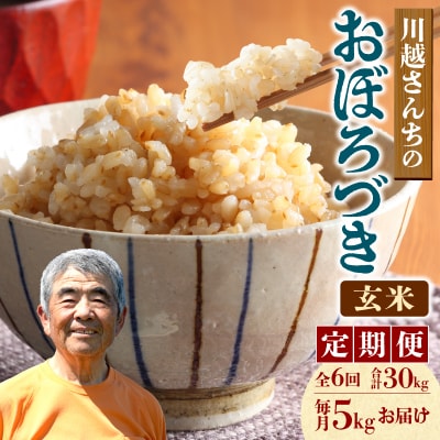 【定期便全6回】 令和8年産 川越さんちの おぼろづき 玄米 5kg×1袋 毎月1回お届け
