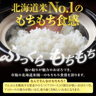 【定期便全6回】 令和8年産 川越さんちの おぼろづき 10kg (5kg×2袋) 毎月1回お届け