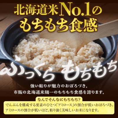 【定期便全6回】令和8年産 川越さんちの おぼろづき 玄米 10kg (5kg×2袋) 毎月1回