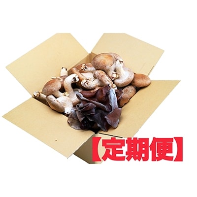 【毎月定期便】オーガニック 椎茸800g&きくらげ200g全6回