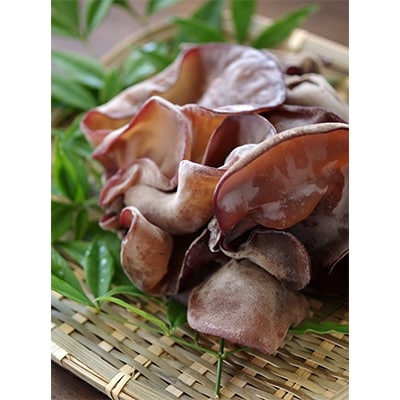 【毎月定期便】オーガニック 椎茸800g&きくらげ200g全6回
