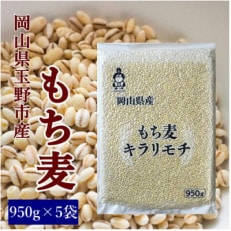 岡山県玉野市産 もち麦 キラリモチ 950g×5袋 | ふるさと納税のお礼品