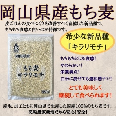 岡山県玉野市産 もち麦 キラリモチ 950g×5袋