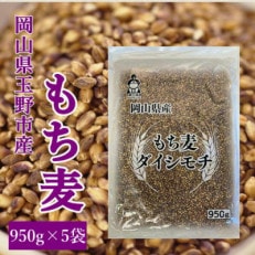 岡山県玉野市産 もち麦 ダイシモチ 950g×5袋